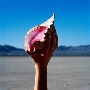 The Killers - Wonderful Wonderful  CD